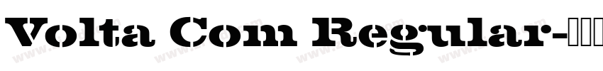 Volta Com Regular字体转换